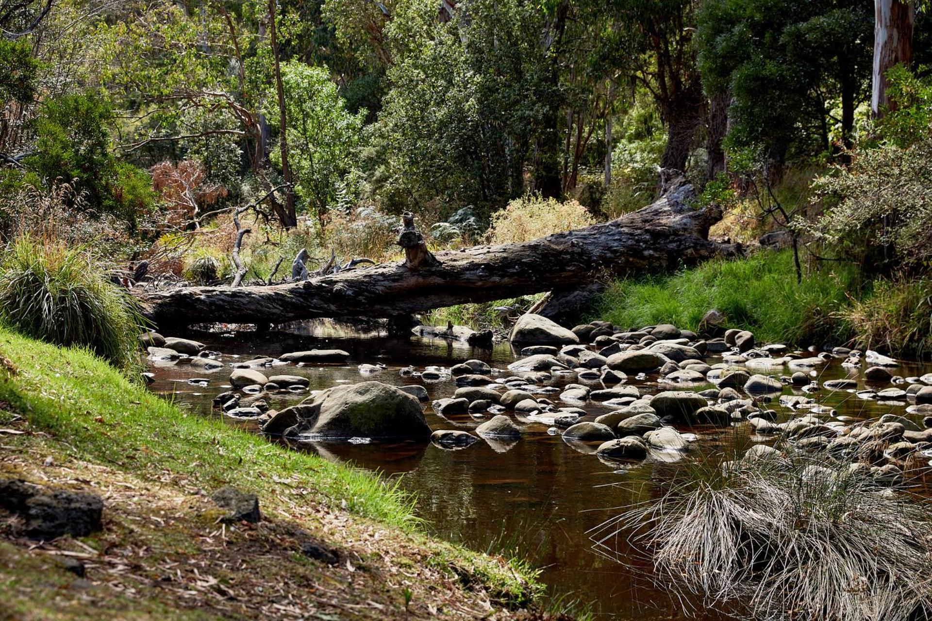 Lorne Foreshore Caravan Park Hotel Buitenkant foto