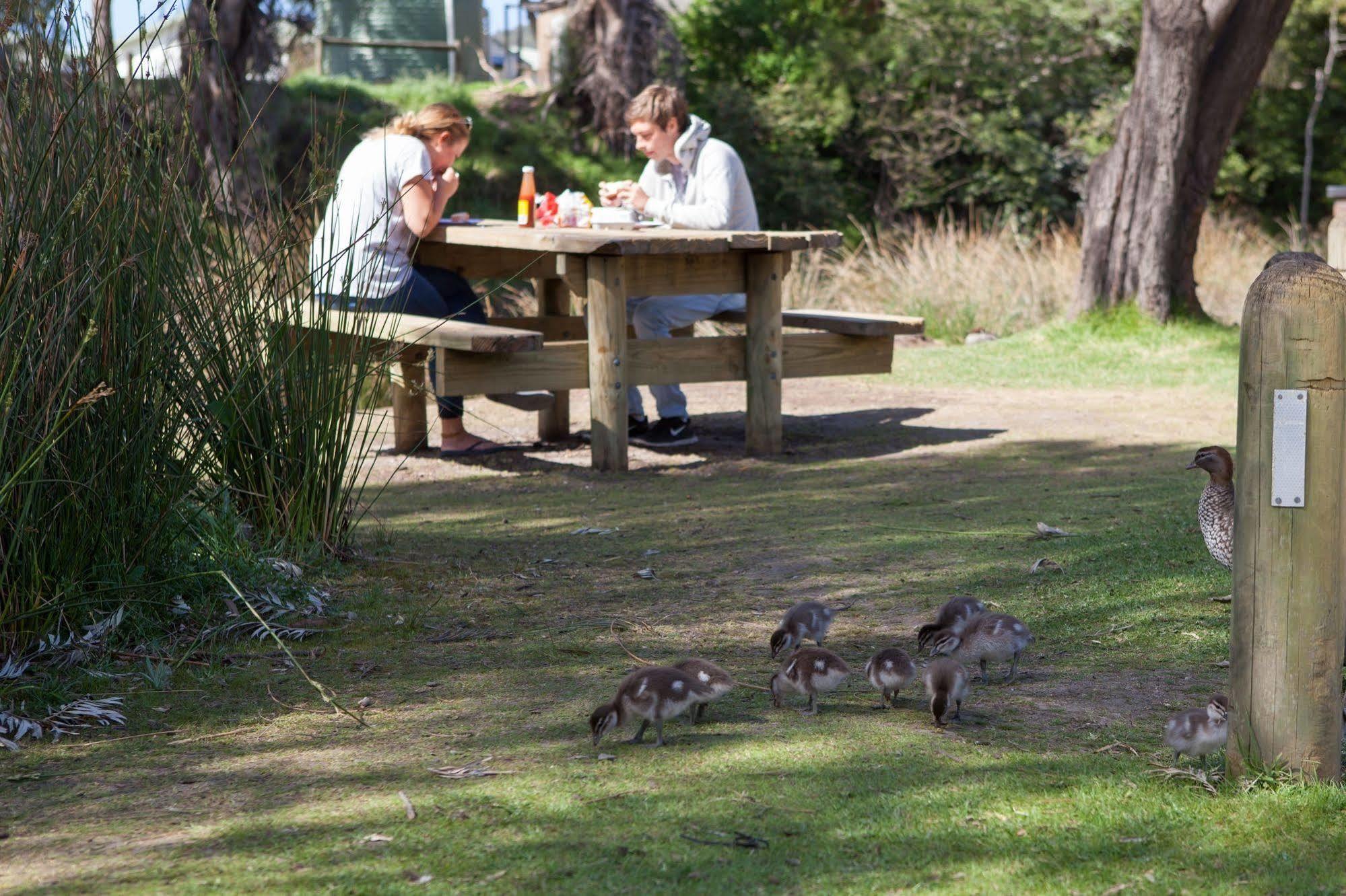 Lorne Foreshore Caravan Park Hotel Buitenkant foto